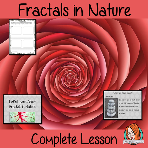 maths-in-nature-lessons