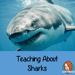 shark-week-in-school