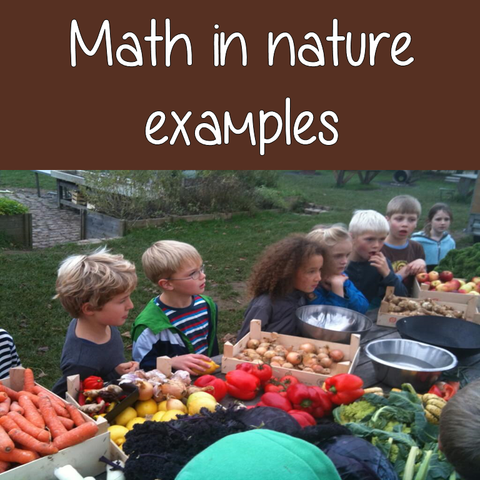 math-in-nature-lesson