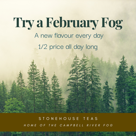 February Fogs: a new one every day for 50% off throughout this month!