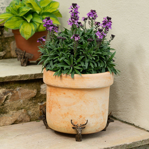 Set of Three Stag Head Potty Feet for Plant Pots