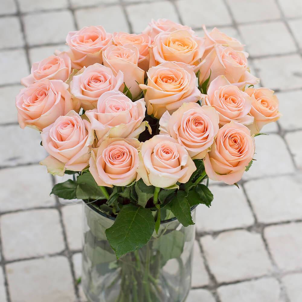 Tiffany Rose – Greenchoice Flowers
