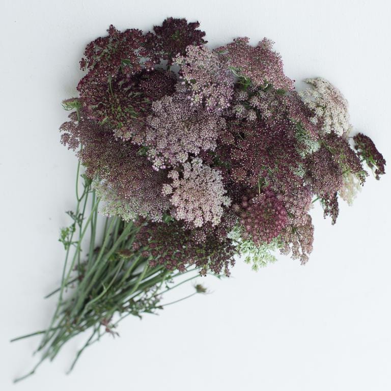 lace flower bouquet