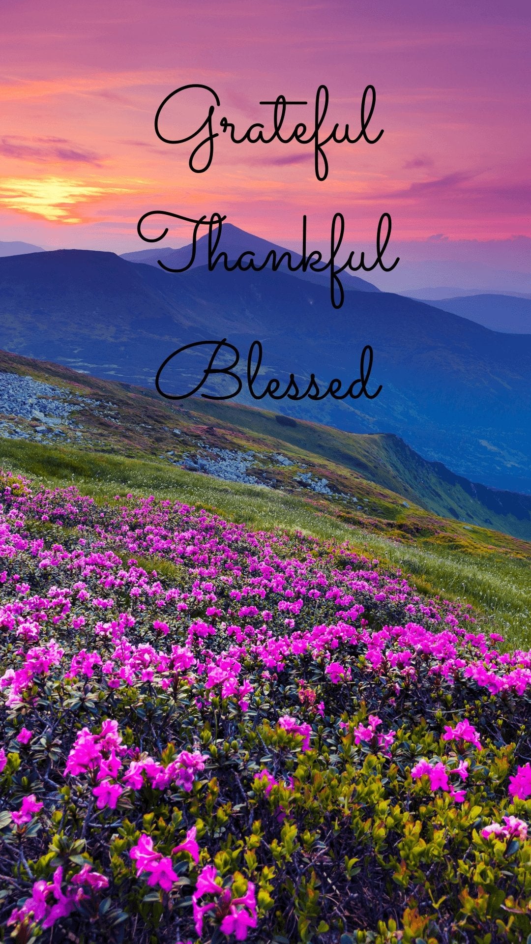 Gratitude 1080P 2K 4K 5K HD wallpapers free download  Wallpaper Flare