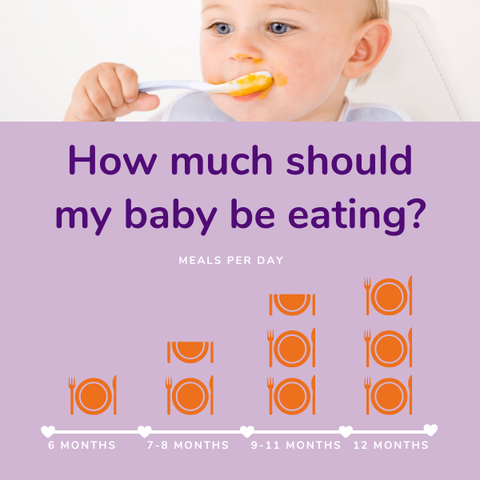 6-12 Month Baby Feeding Must-Haves