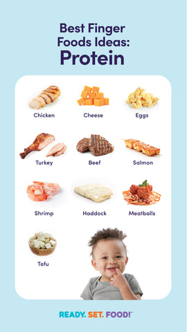 Chart with images and text showing the best protein first finger foods for babies 