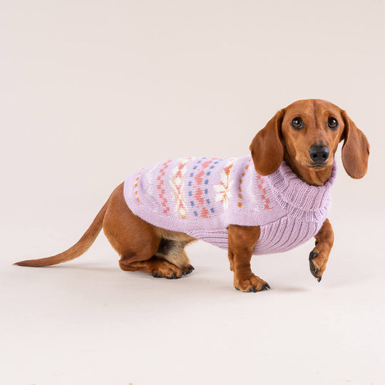 Chunky Cable Knit Lavanda Alpaca Dog Sweater - Alqo Wasi