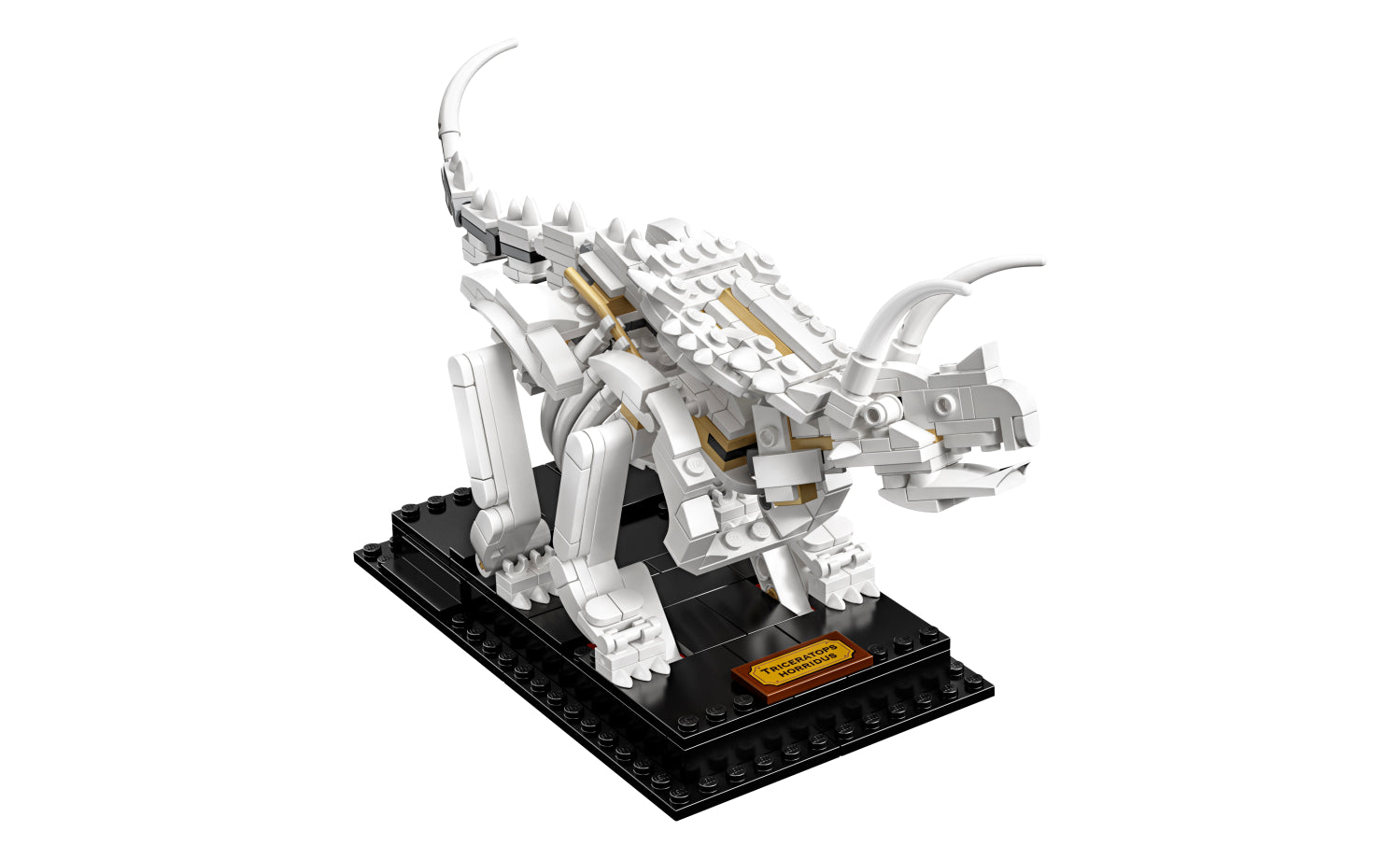 lego dinosaur skeleton instructions