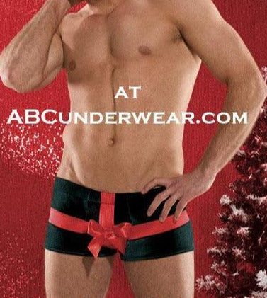 Kiss Me Under the Mistletoe Christmas Mens Boxer Brief Underwear - NDS WEAR
