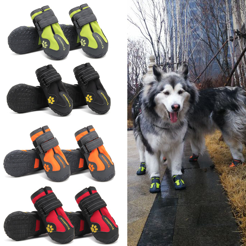 Protective Dog Shoes for their Paws 