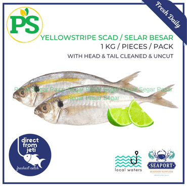 Yellowstripe Scad / Selar Kuning Besar (Medium) Seafood