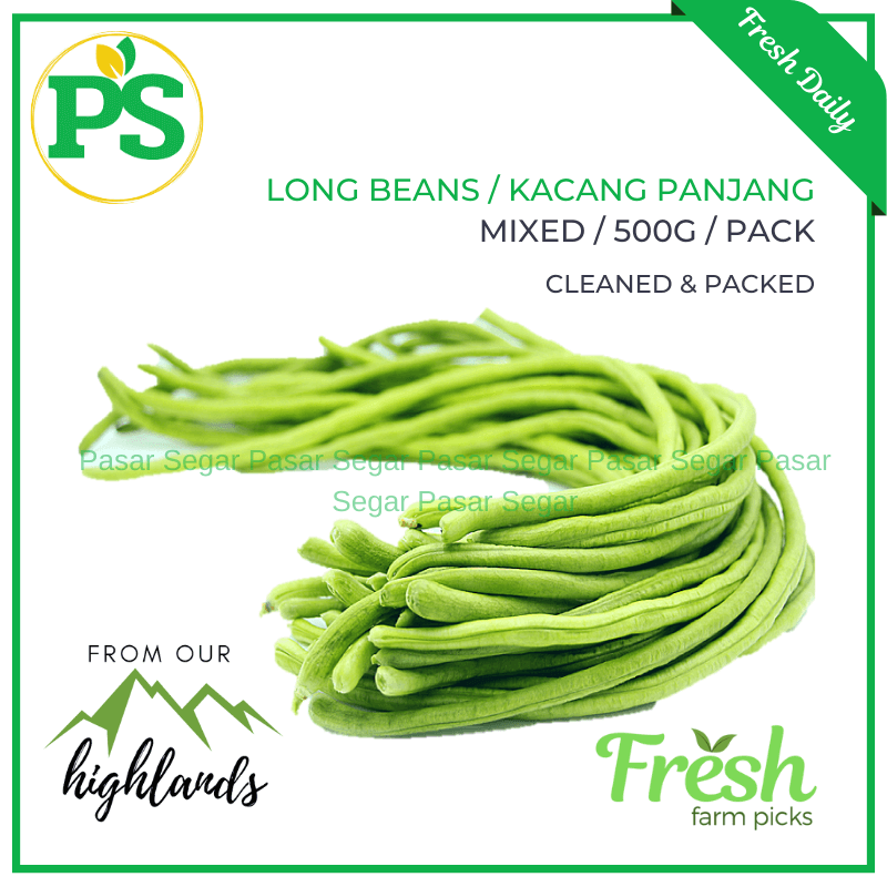 Long Beans / Kacang Panjang