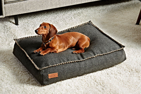 DOGit Inside Designer Dog Bed