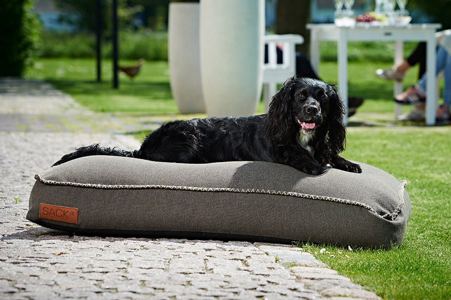 Dog bed large