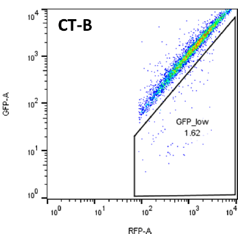 crisprutest-gfp-low