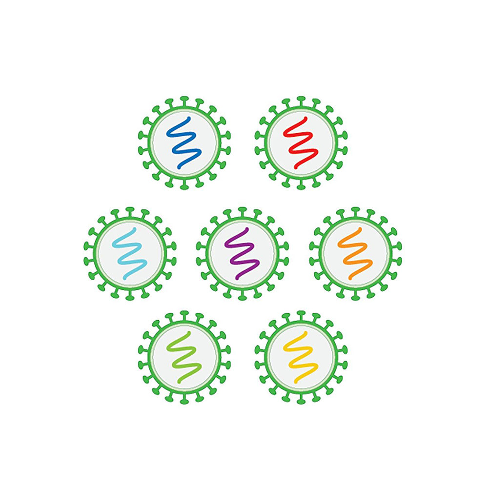 Lentiviral Constructs & Cell Engineering products and services