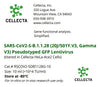 Cellecta SARS-CoV2-B.1.1.28 (20J/501Y.V3, Gamma V3) Pseudotyped GFP Lentivirus RSCOV2-SDB1128G-10