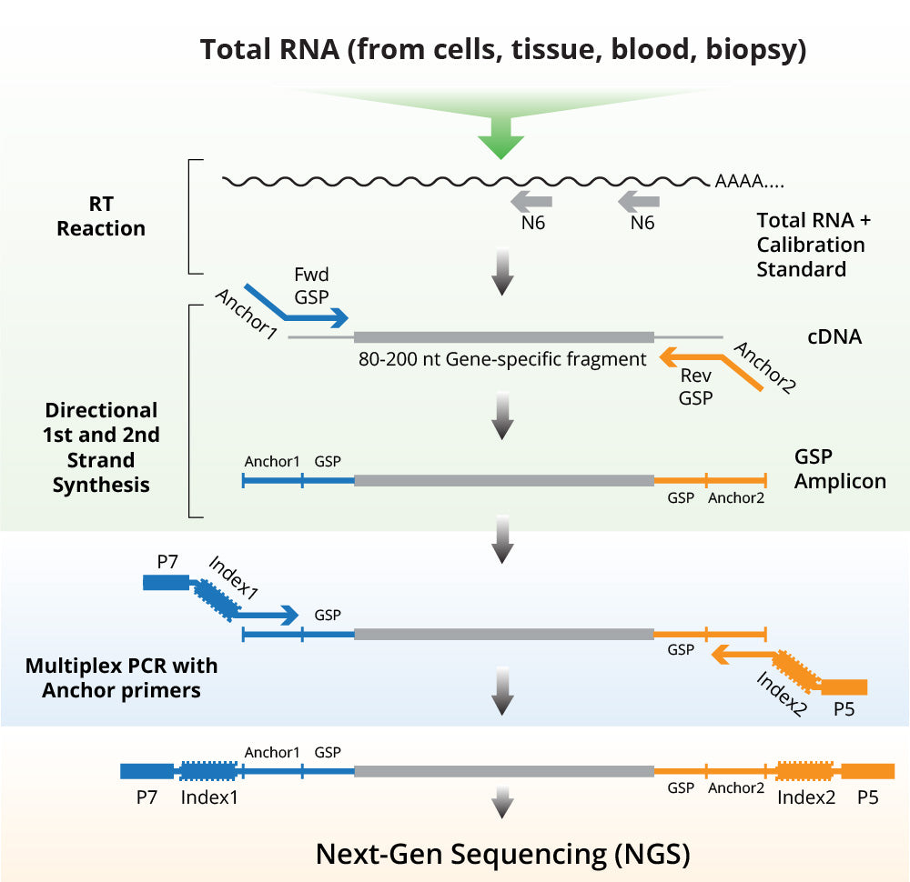 How Does the DriverMap Human Genome-Wide Expression Profiling Kit Work?