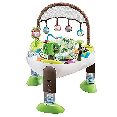 3 in 1 exersaucer