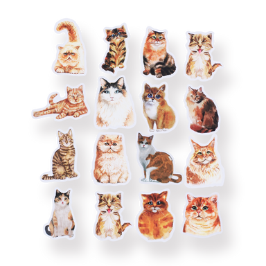 Stationery Pal Stationery Set - Meow