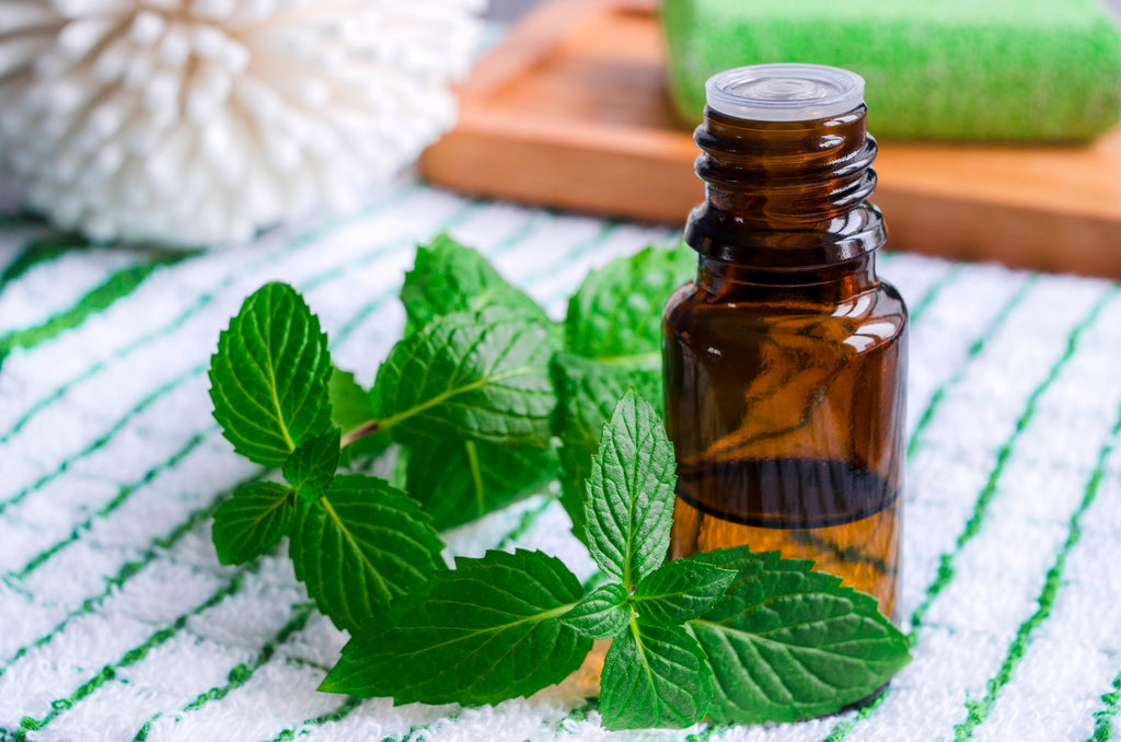 peppermint essential oil hair care hennasooq beauty refreshing