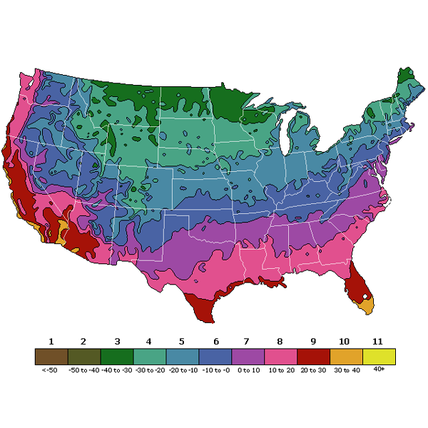 Plant Hardiness Zones — Carnivorous Plant Nursery