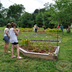 Carnivorous Plant Nursery Open House June 2015 1