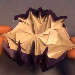 Origami Venus Flytrap Brown