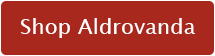 shop Aldrovanda