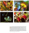Carnivorous Plants in the Wilderness, Color Photography Edition By Makoto Honda