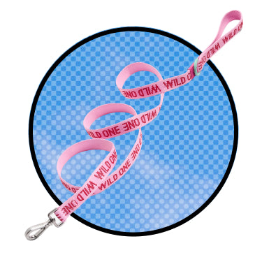 Bubblegum Leash