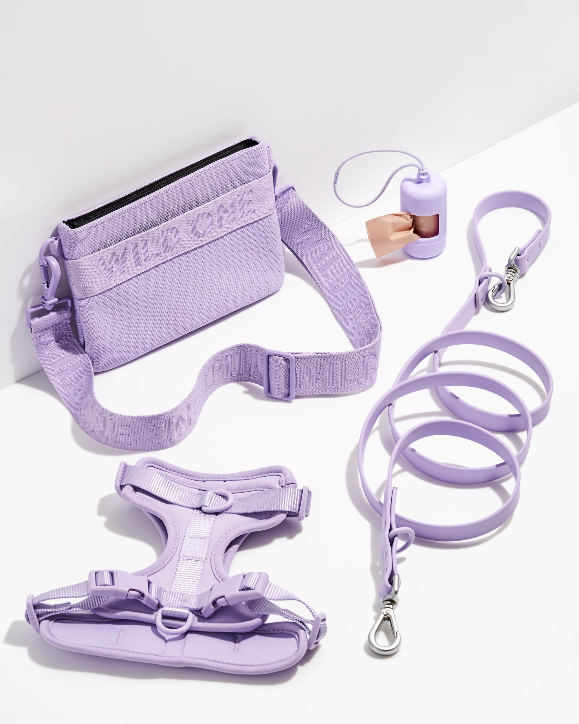 Harness Walk & Treat Kit