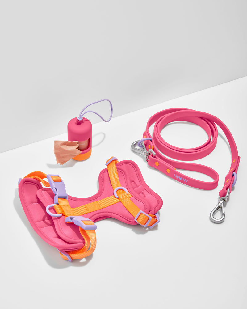 Wild One and Isaac Mizrahi Teamed Up For a Colorful Collab for Dogs · The  Wildest