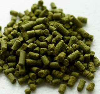 Brewers Gold (US) Hop Pellets