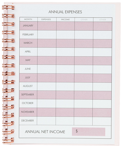 2021 appointment book with annual expenses, income, and budgeting for each month