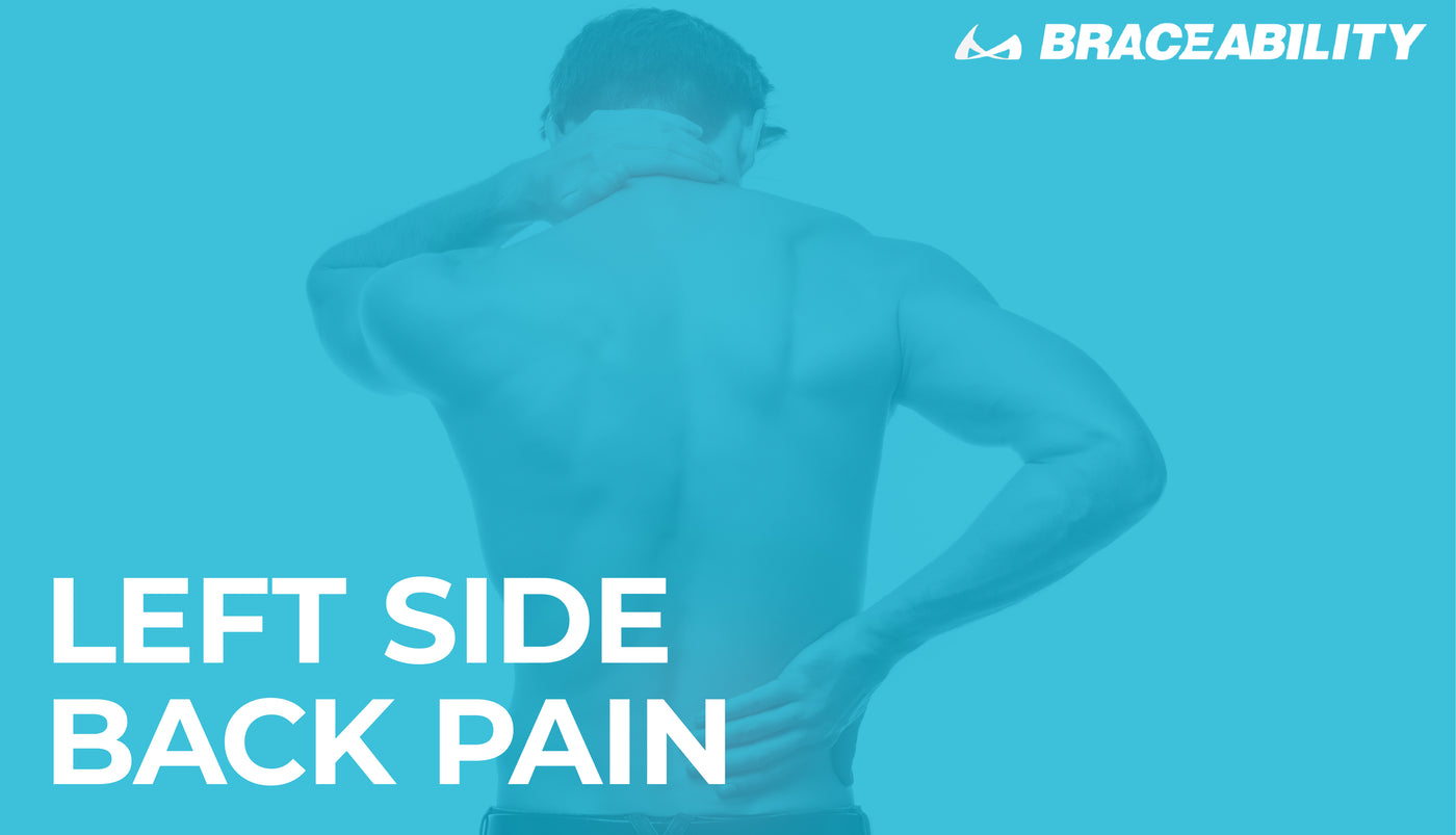 Lower Left Back Internal Organs : Pain In The Lower Left Back Causes ...