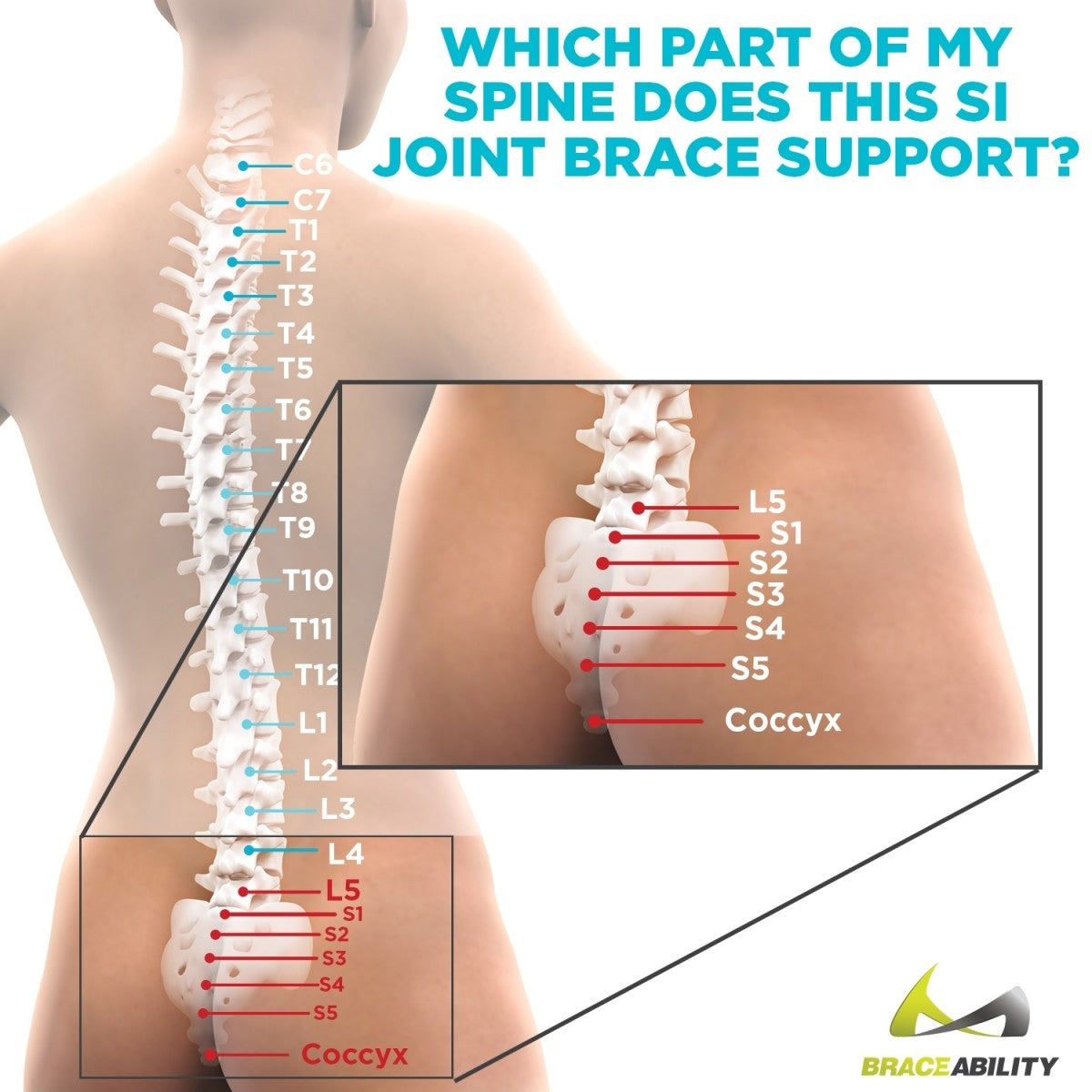 area of your back that the sacroiliac joint pain brace treats