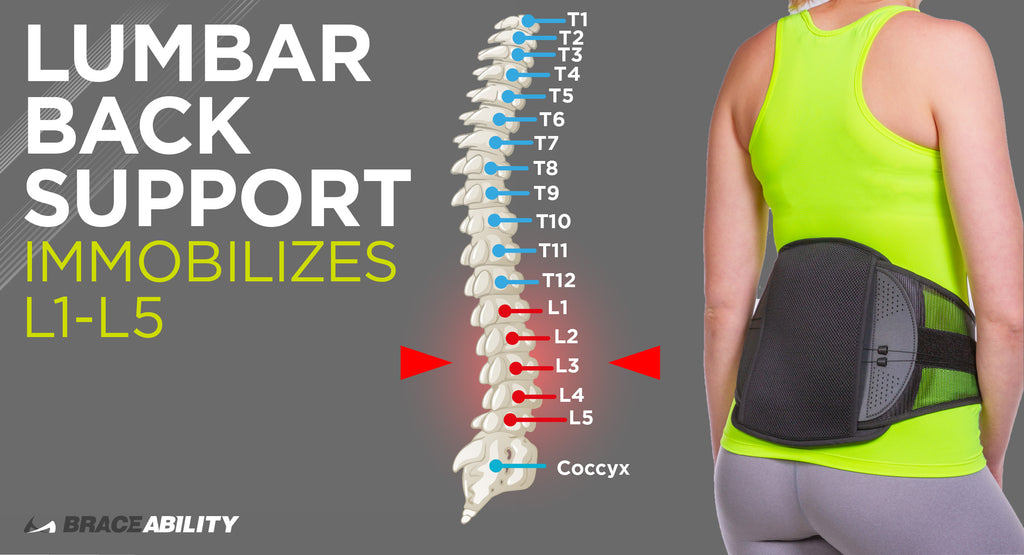 Spondylolysis Spondylolisthesis Back Brace Stabilizer Pars Defect ...