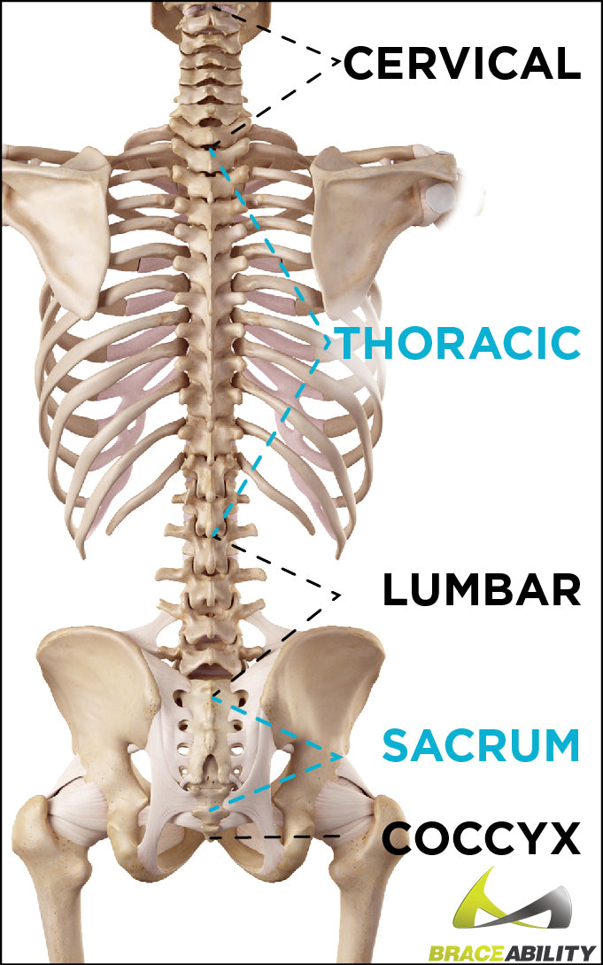 Spine And Tailbone Treatment