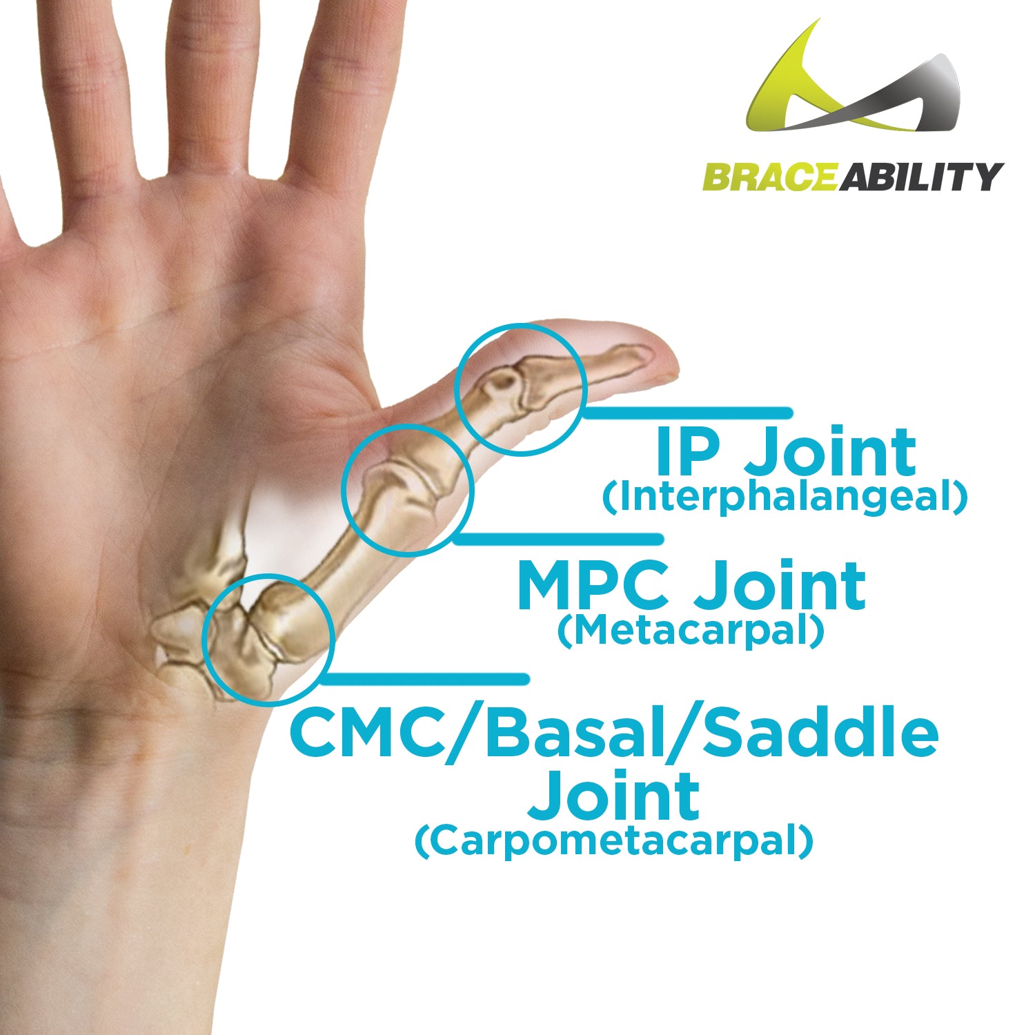 Hard Thumb Arthritis Treatment Splint & CMC Basal Joint Immobilizer