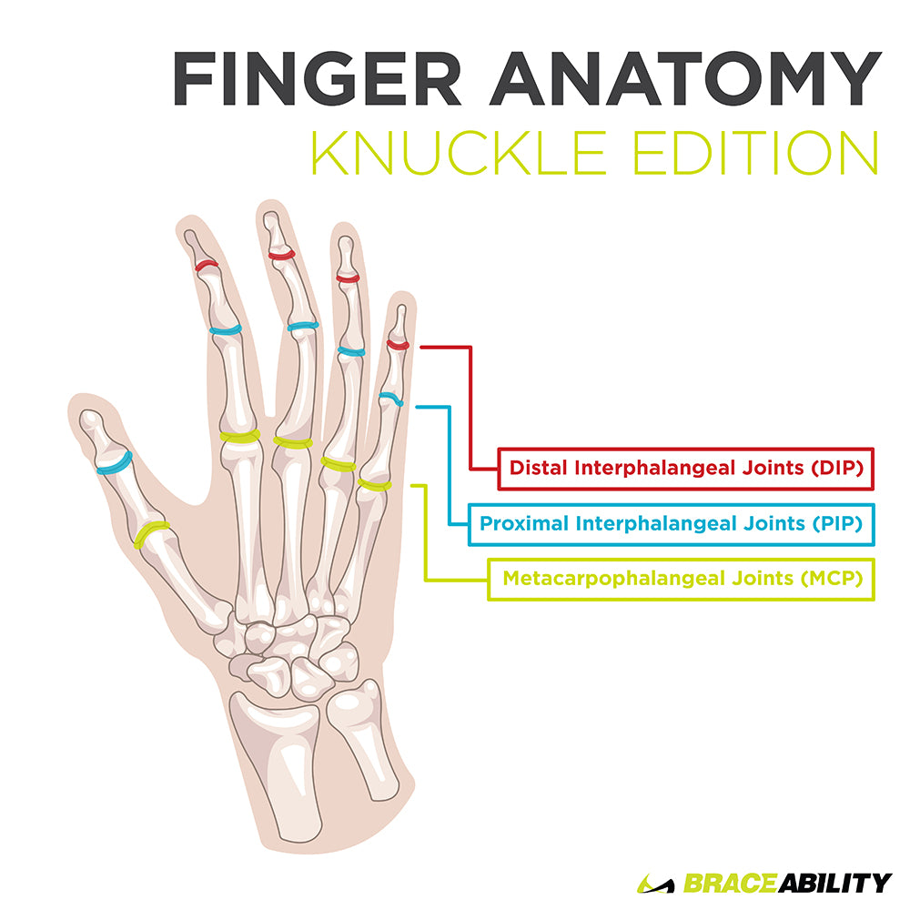 learn more about finger joint anatomy, pain, and swelling