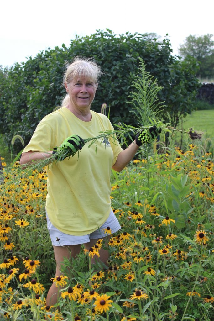 pulling weeds in your garden without finger pain with a finger splint
