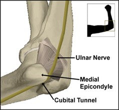 sources of pain in the anatomy of the elbow and ulnar nerves
