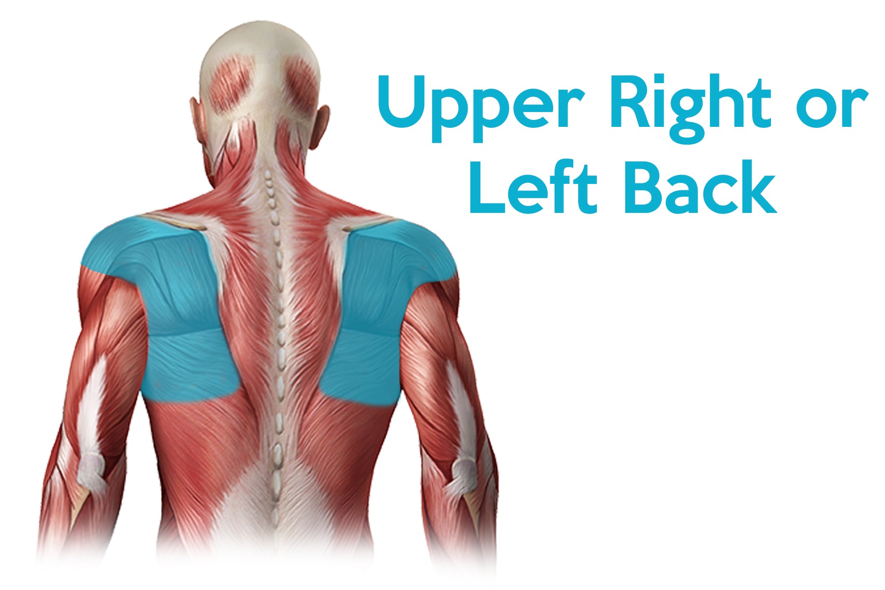 Upper Back Pain | What's Causing the Top of my Spine to Hurt?