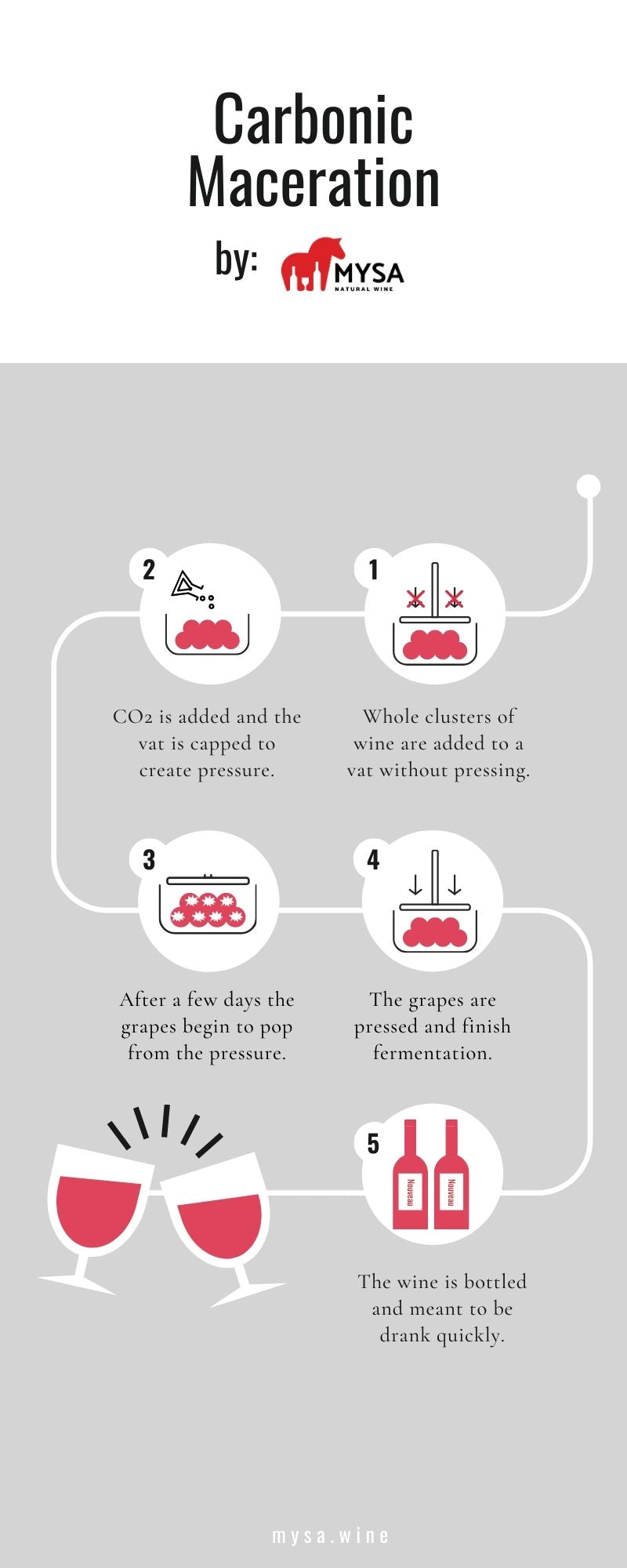 Carbonic Maceration Infographic