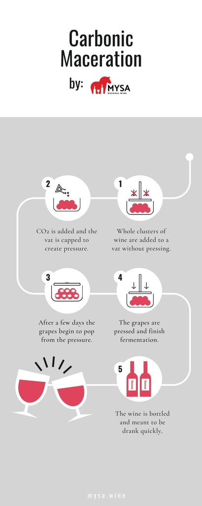 carbonic maceration infographic for glou glou wine production