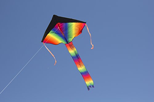 Large Delta Kite