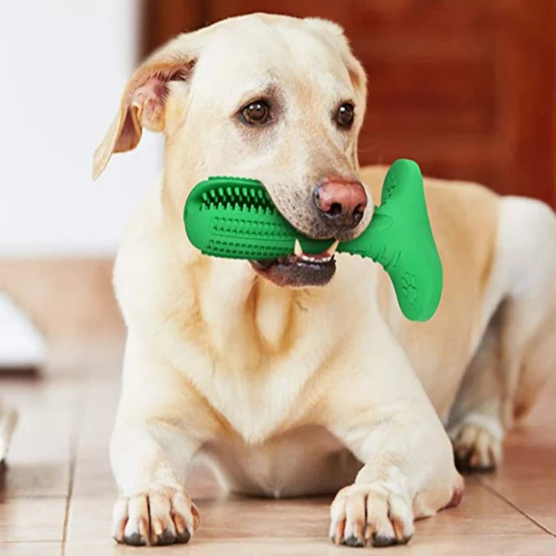 Dog Toothbrush Chew Toy