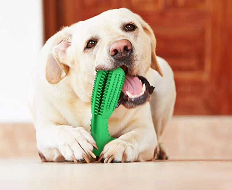 Dog Toothbrush Chew Toy