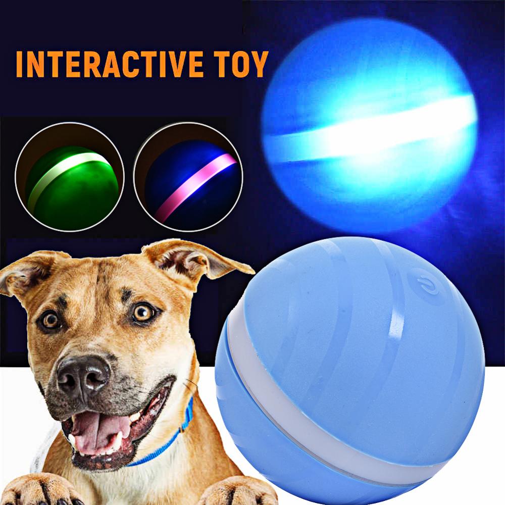 balls for dogs that light up